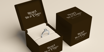 Melika Font Poster 7