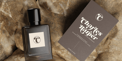 Melika Font Poster 6