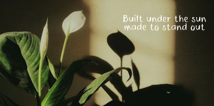 ZRTW Bokerough Font Poster 3