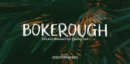 ZRTW Bokerough Font Poster 1