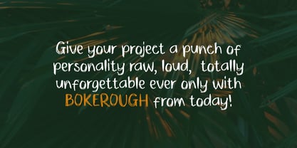 ZRTW Bokerough Font Poster 10