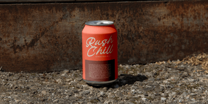 Check Unite Font Poster 12