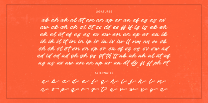 Check Unite Font Poster 15