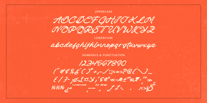 Check Unite Font Poster 13