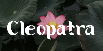 Seven Prince Font Poster 9