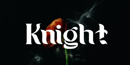 Seven Prince Font Poster 13