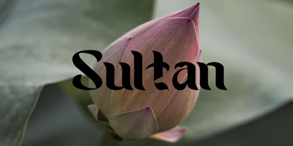 Seven Prince Font Poster 10