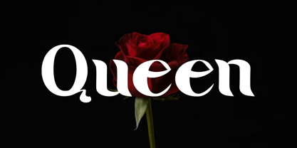 Seven Prince Font Poster 14