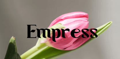 Seven Prince Font Poster 11