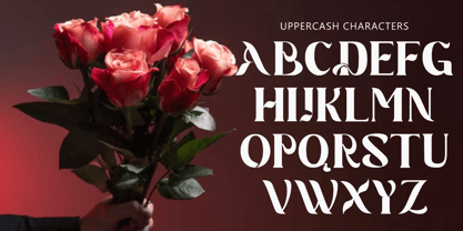 Seven Prince Font Poster 2