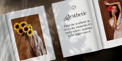 Astera Casty Font Poster 2