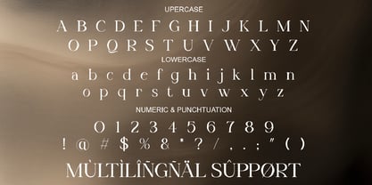 Astera Casty Font Poster 10