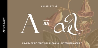 Astera Casty Font Poster 7