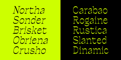 Ronders Reverse Contrast Font Poster 8