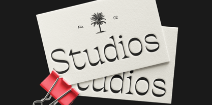 Ronders Reverse Contrast Font Poster 6