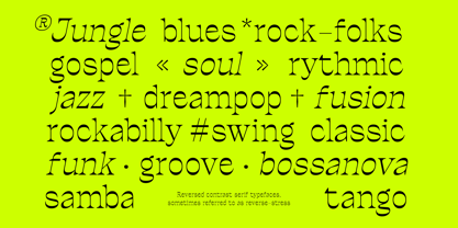 Ronders Reverse Contrast Font Poster 7