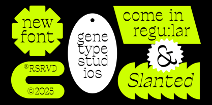 Ronders Reverse Contrast Font Poster 4