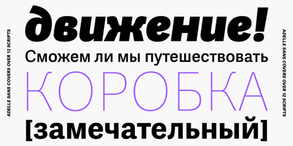 Adelle Sans CYR Font Poster 3