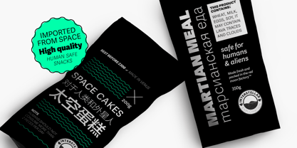 Adelle Sans CYR Font Poster 6