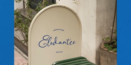 Alveykina Font Poster 8