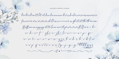 Alveykina Font Poster 12