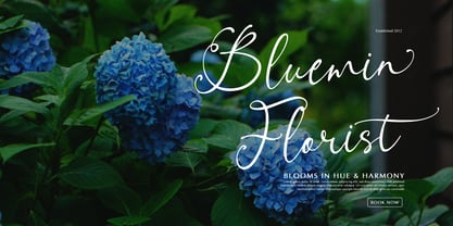 Alveykina Font Poster 5