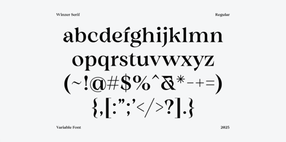Winzer Serif Variable Font Poster 5