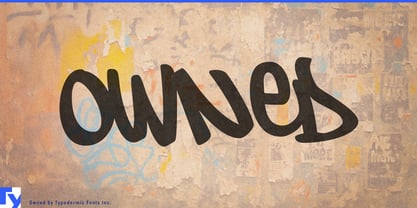 Owned Font Poster 1