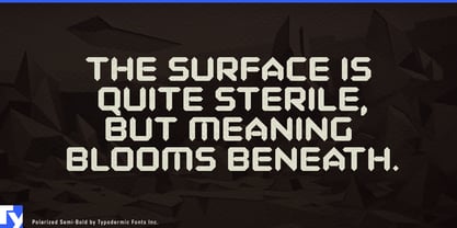 Polarized Font Poster 2