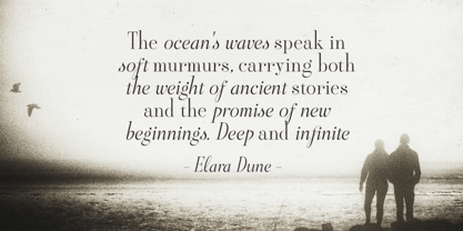 Aesthetic Styles Font Poster 2