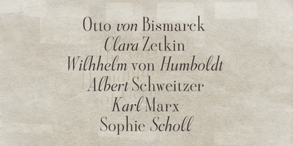 Aesthetic Styles Font Poster 5