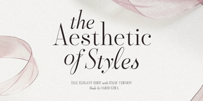 Aesthetic Styles Font Poster 1