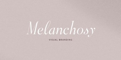 Aesthetic Styles Font Poster 11