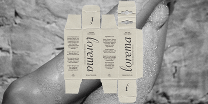 Aesthetic Styles Font Poster 3