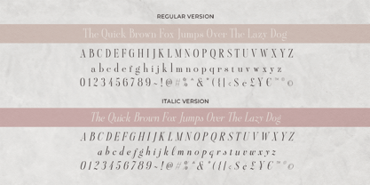 Aesthetic Styles Font Poster 9