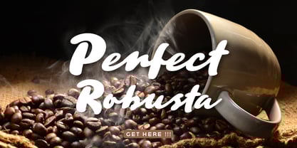 Signature Philosophy Font Poster 9