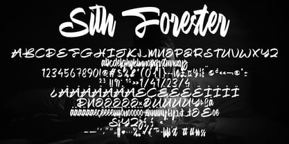 Sith Forester Font Poster 2