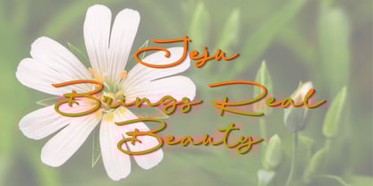 Banttai Khan Font Poster 5