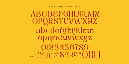 Believe Stronger Font Poster 13