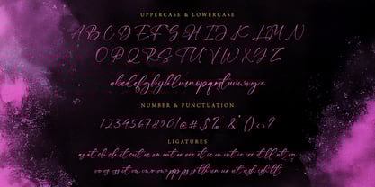 Black Ming Font Poster 6