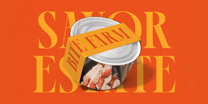 Female Halzita Font Poster 4