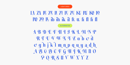 Blinky Kalmie Font Poster 15