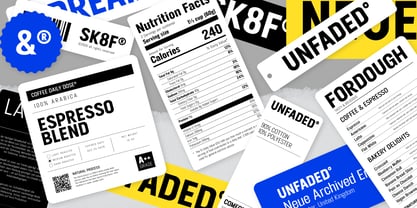 FT Neue Buddy Font Poster 2