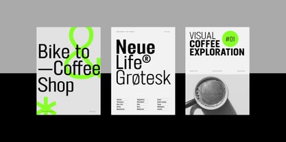 FT Neue Buddy Font Poster 11