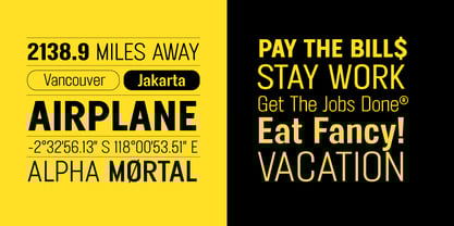 FT Neue Buddy Font Poster 5