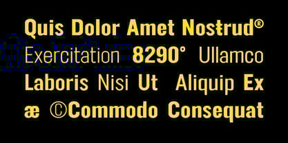 FT Neue Buddy Font Poster 7