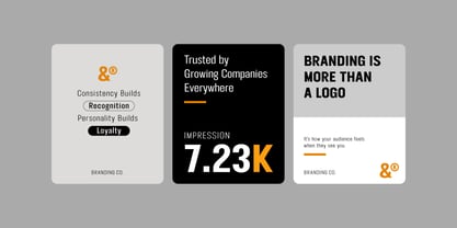 FT Neue Buddy Font Poster 15