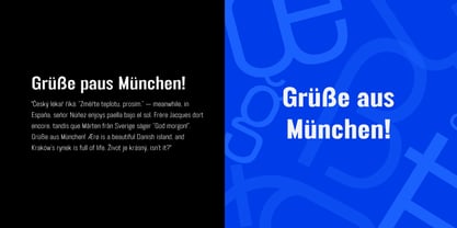 FT Neue Buddy Font Poster 9