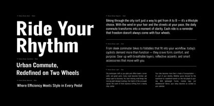 FT Neue Buddy Font Poster 8