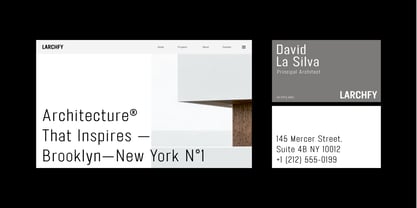 FT Neue Buddy Font Poster 12